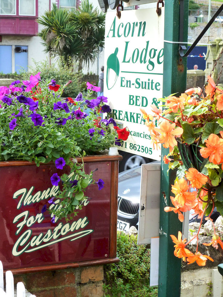 The Acorn Lodge Ilfracombe Exterior photo